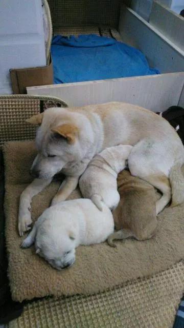 天堂真的很美么,天堂真的很美丽吗