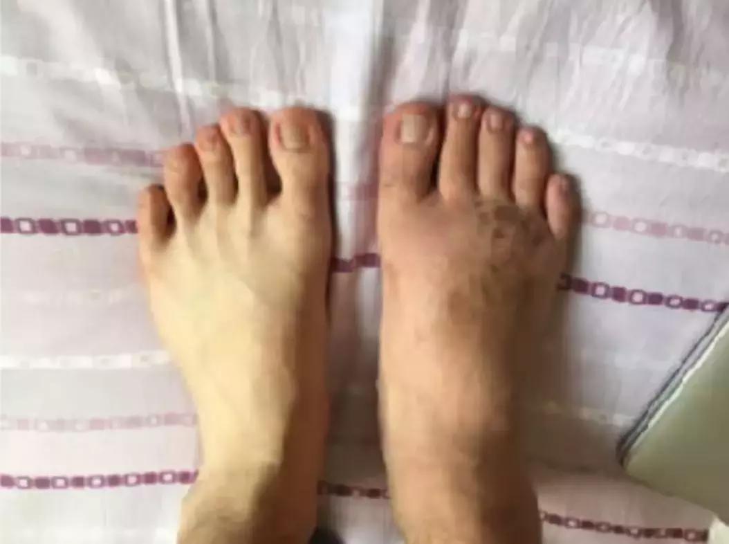 硬核玩家完整,硬核玩家完整版