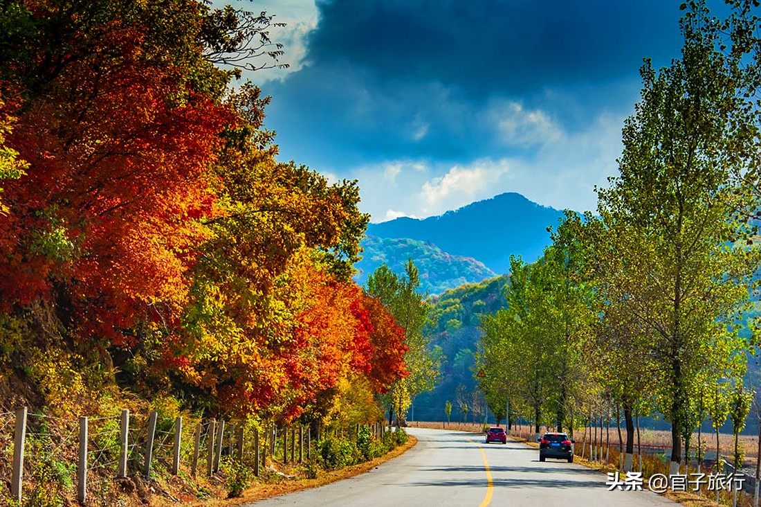 中华枫叶之路自驾游攻略,中华枫叶大道自驾游路线