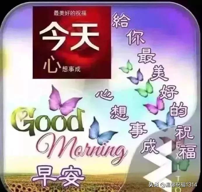 周一最新最接地气的早晨祝福语,周一清晨问候祝福语大全
