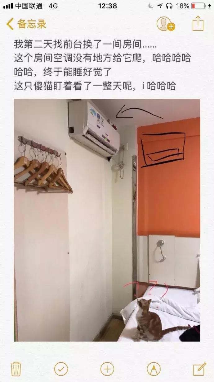 被猫踩了一脚出了一点点血,猫咪被人踩了一脚口吐白沫