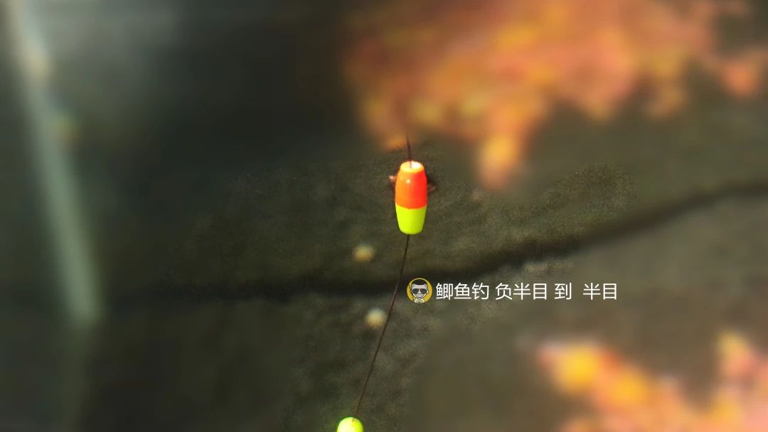 逗钓实操调漂技巧图解大全,钓鱼传统钓法是怎么调漂的