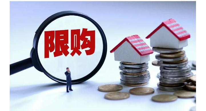 炒房团房价上涨,房价一直在涨炒房可以吗