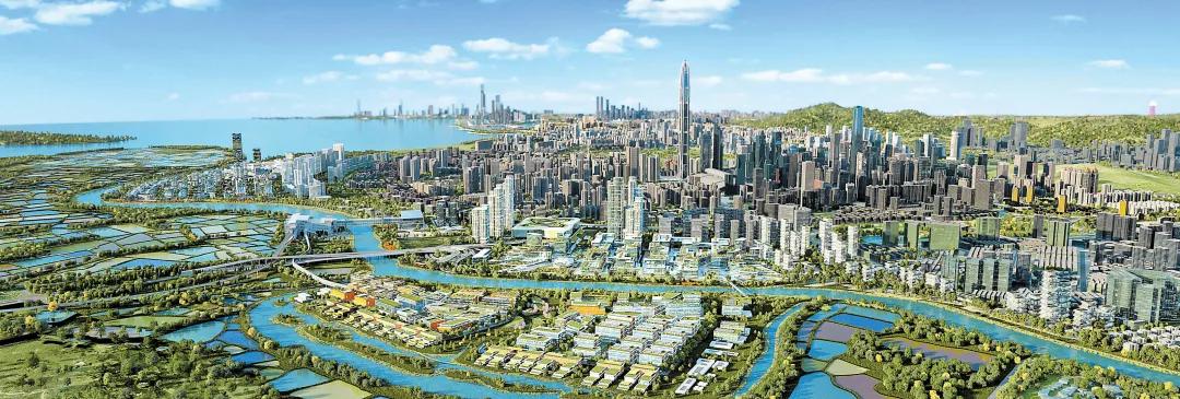 理论中心组进行集体学习,理论学习中心组集体学习计划