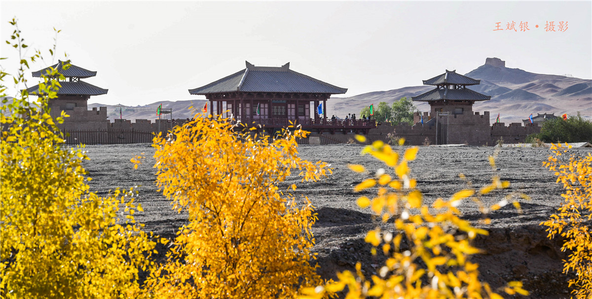 第一次去看胡杨的感触,第一次体验到沙漠乐趣