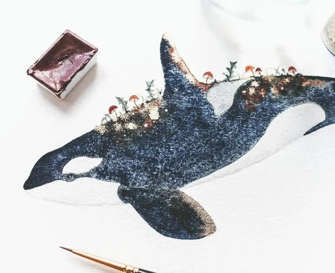 一头蓝鲸等于50只大象，被插画师画成小可爱，治愈了我们的内心