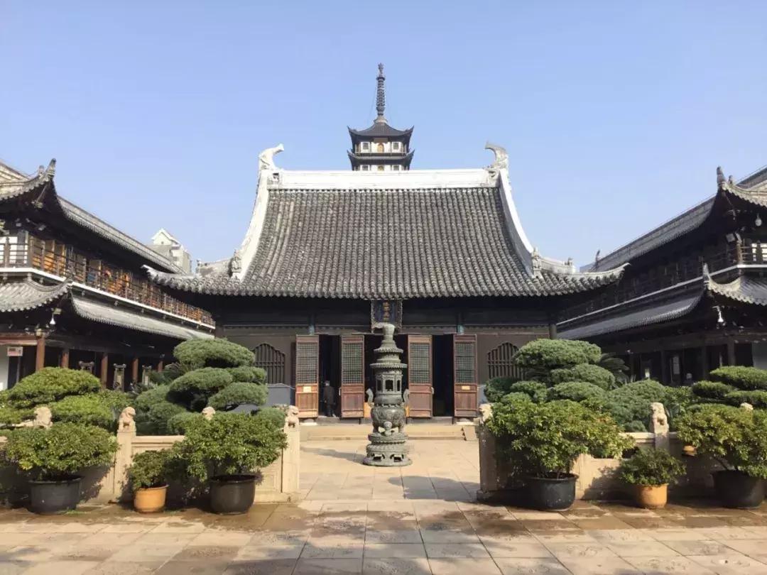 披着毛毯的“羊”锋芒毕露！上海中国天楹离总冠军一步之遥