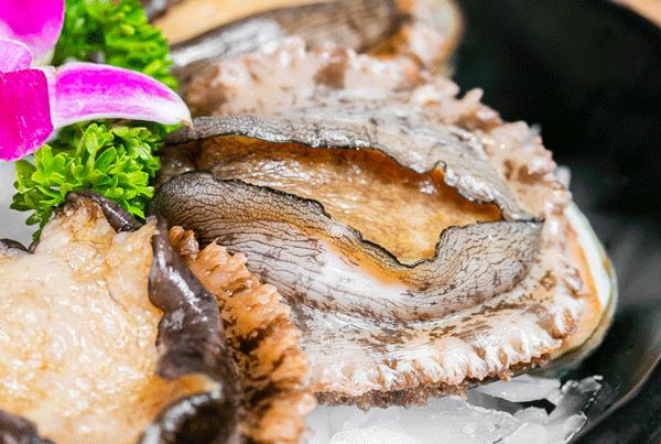 魔都惊现「2层楼小香港」，卖“蹦迪海鲜”！花胶鸡、6头鲍免费送