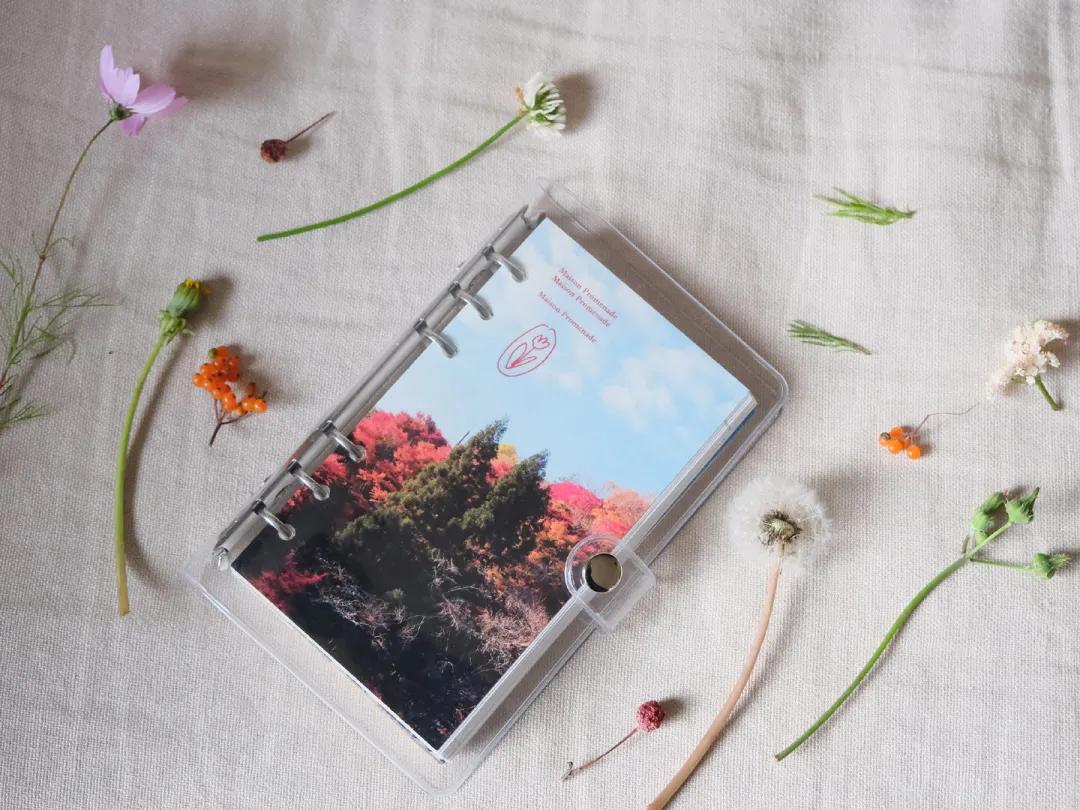 干货应该怎么处理,干货的正确方法和技巧