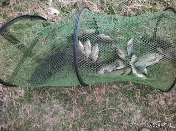 鏅編娓斿叿,鏅編楸艰偉