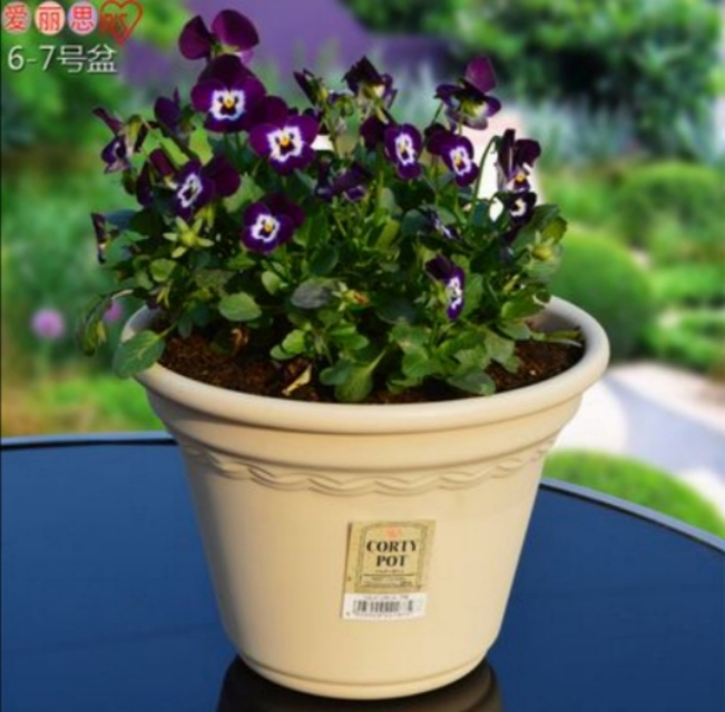 铝塑花盆跟陶盆哪个比较好,陶盆瓷盆塑料盆差距