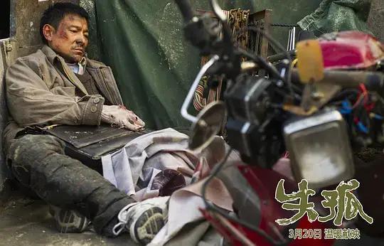 失孤原型找到儿子小孩结婚,失孤原型终于找到儿子完整版