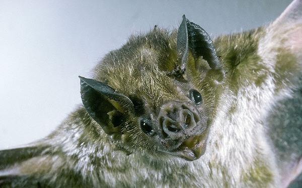 最新的新冠疫情症状,面对新冠疫情我们应该注意哪些