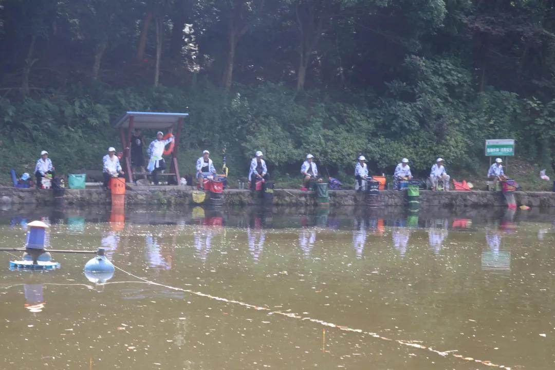 畅玩抚州嘉年华,畅玩海上嘉年华