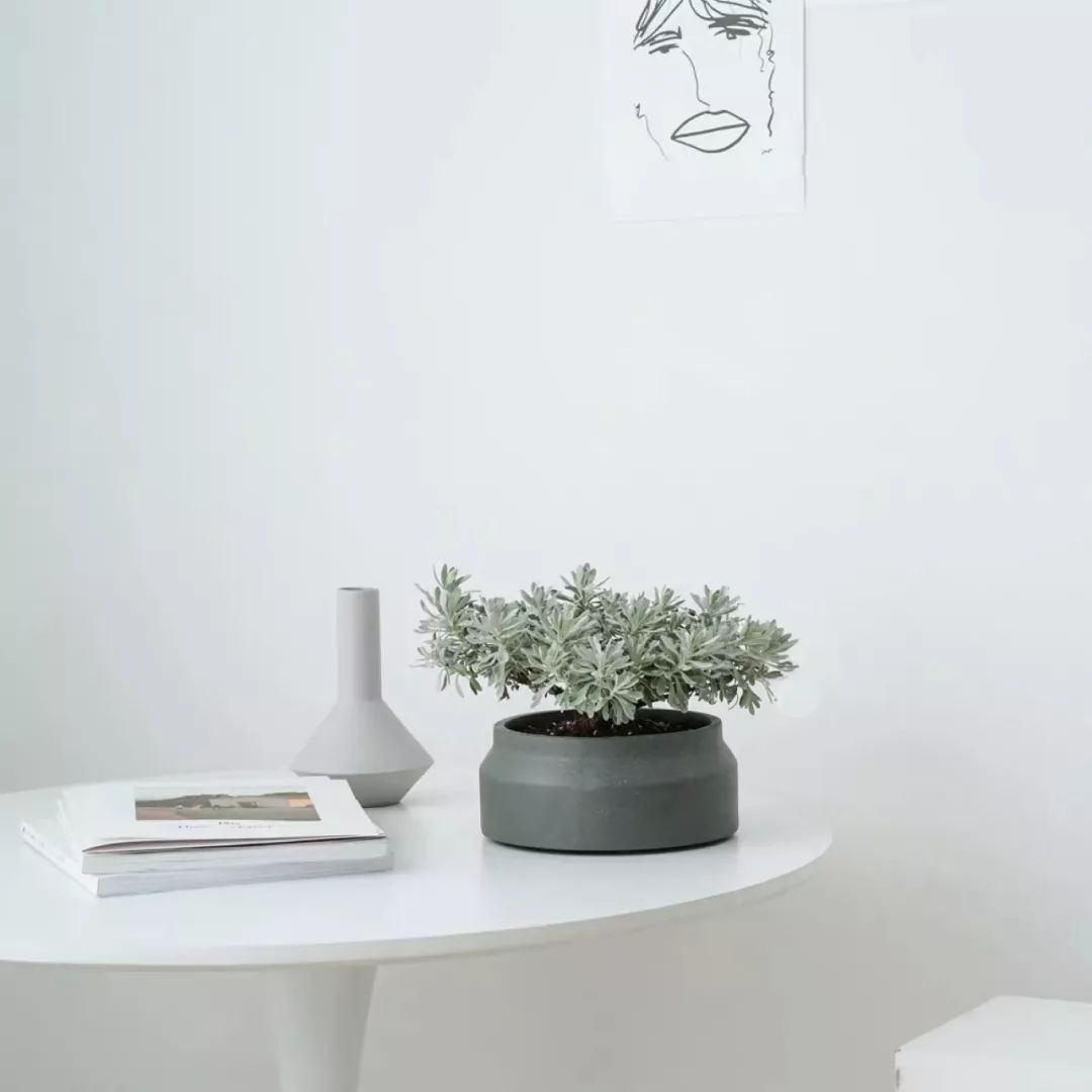 94种常见唯美观叶植物,会开花的绿色硬叶植物