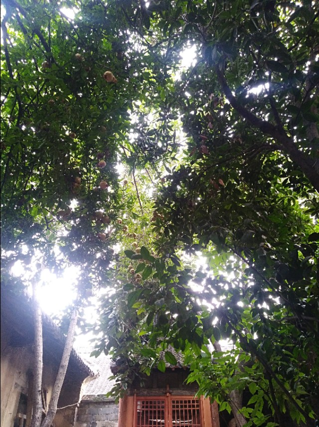 王玉：南阳益博社工的初秋一日行纪