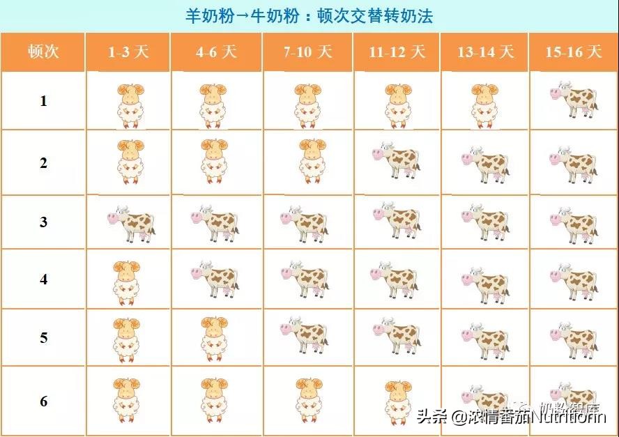 转奶羊奶粉和牛奶粉可以混着吃吗,羊奶粉和牛奶粉转奶正确方法