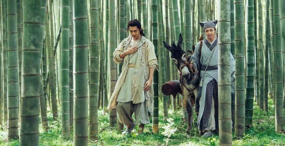 赤狐书生为什么评分低,赤狐书生低评