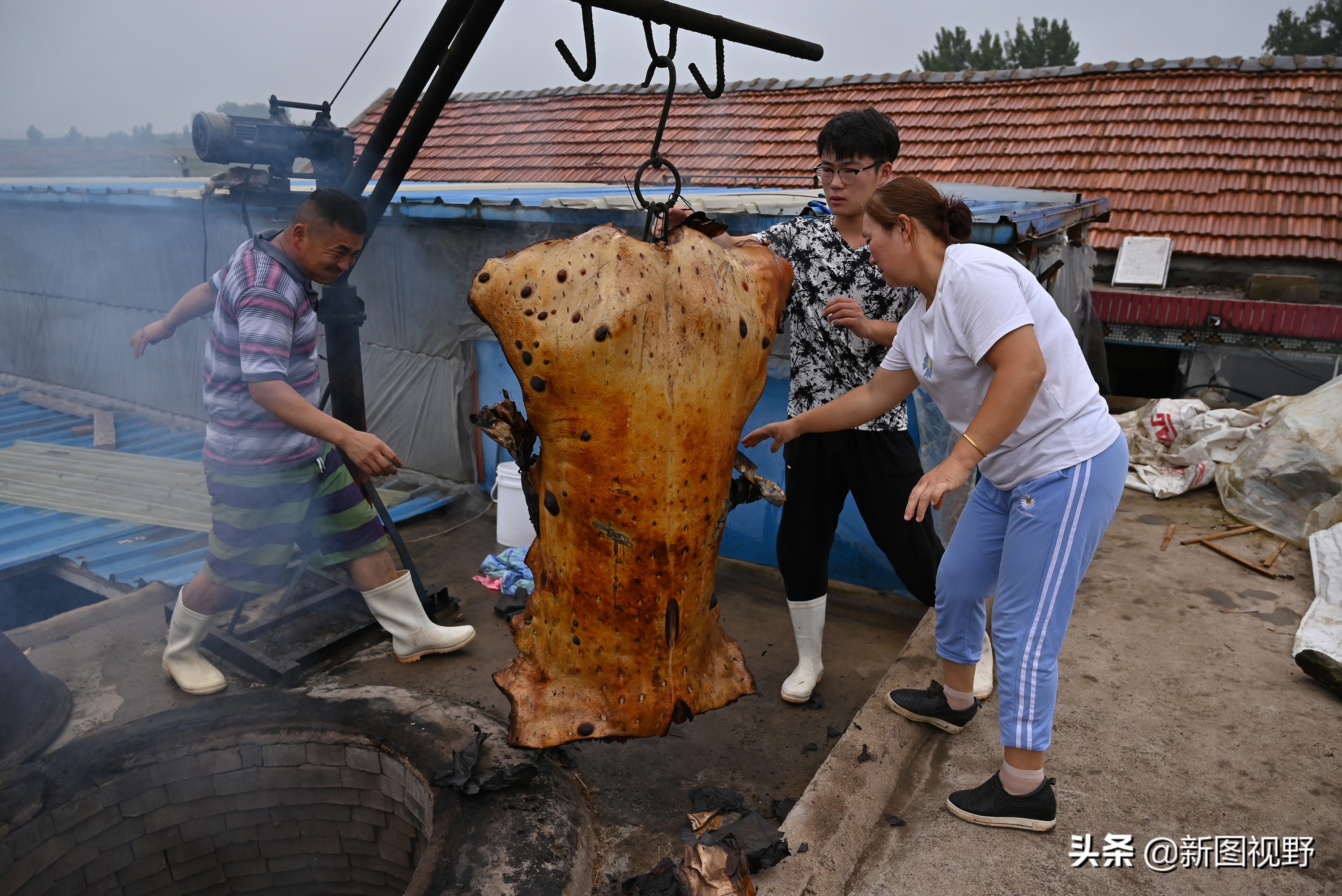 猪价下跌，夫妻“烤全猪”停烤2年后开烤，200斤烤肉出炉就卖光