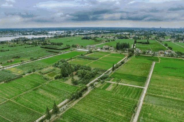 三农工作对乡村振兴的重大意义,三农工作中乡村振兴的前提是什么