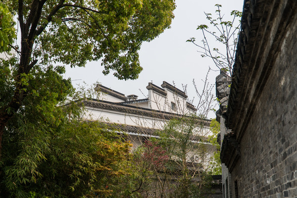 踏春赏花正当时，打卡千垛水上油菜花！玩转兴化景点美食全攻略