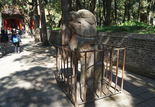 孔林是最大的氏族墓地吗,孔林最大墓葬群