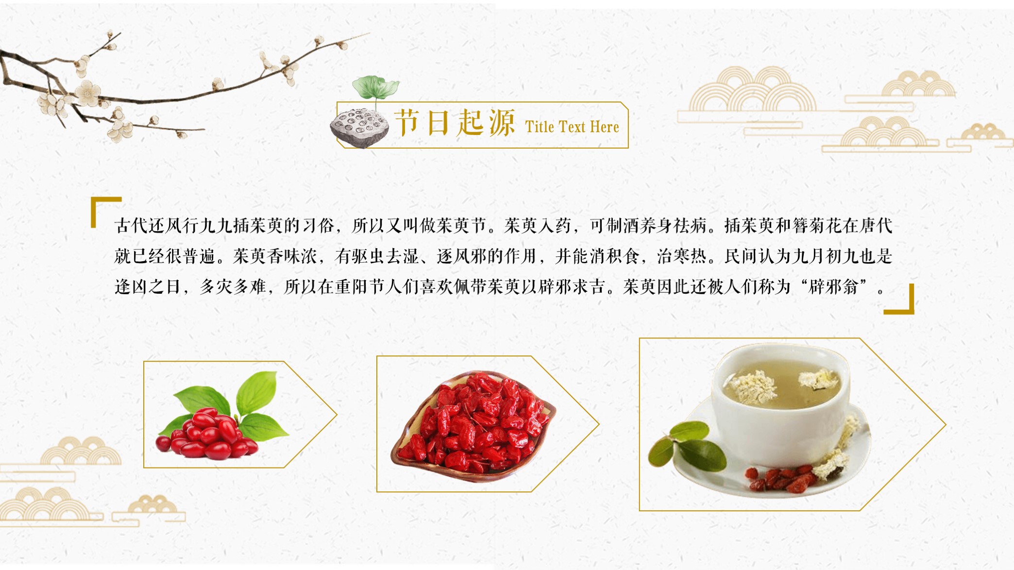 閲嶉槼鑺俻pt鍥剧墖澶у叏澶у浘,閲嶉槼鑺俻pt鍥剧墖澶у叏