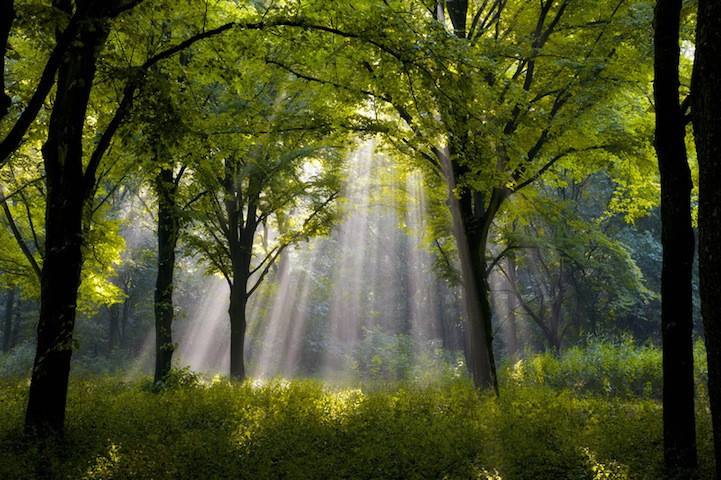 南昌市足球幼儿园,2021年全国足球特色幼儿园示范园