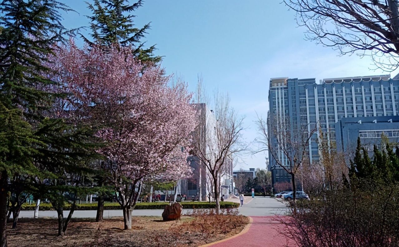 为什么滨州房价那么高,滨州被称为什么城