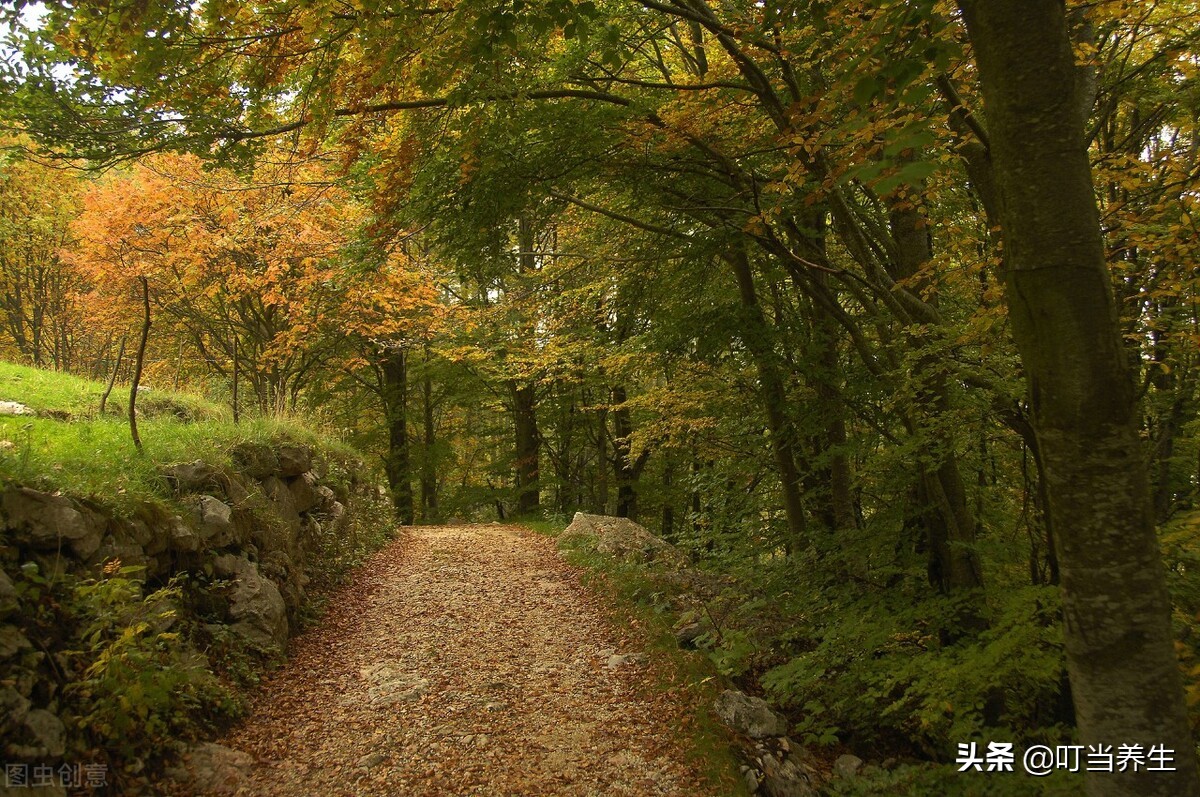 秋天头皮痒脱发怎么办,秋天脱发怎样恢复