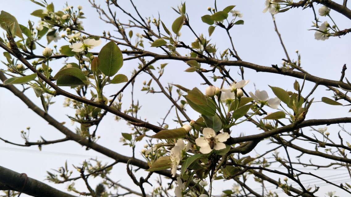 销售成功第一步是如何销售自己,销售技巧幽默一点活跃销售气氛