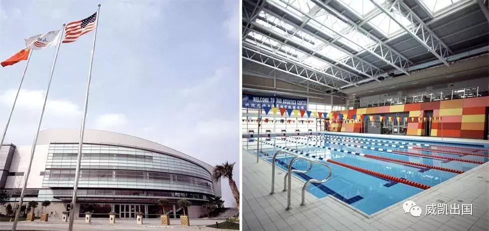 爬藤系学校,中国最好的爬藤学校