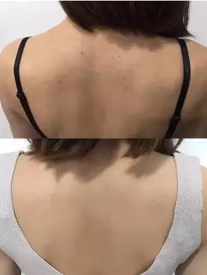 预算50元可以买什么好玩的,50元以下适合学生党买的蜥蜴