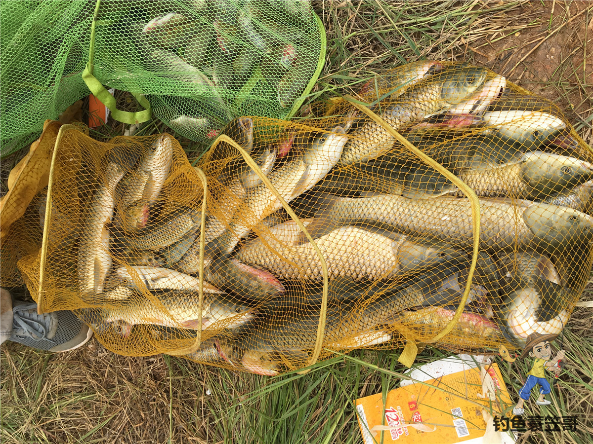 钓鱼技巧野外夜钓的三个选位技巧,钓鱼技巧如何钓黑坑鱼儿