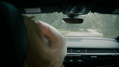 章泽天珠宝晚宴,章泽天疑赴剑桥深造