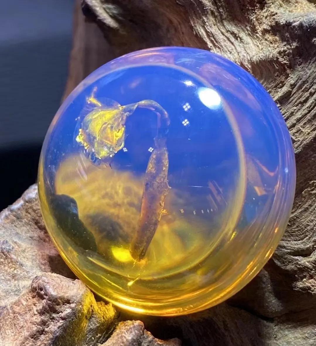 缅甸琥珀属什么档次,俄料琥珀和缅甸琥珀哪个好