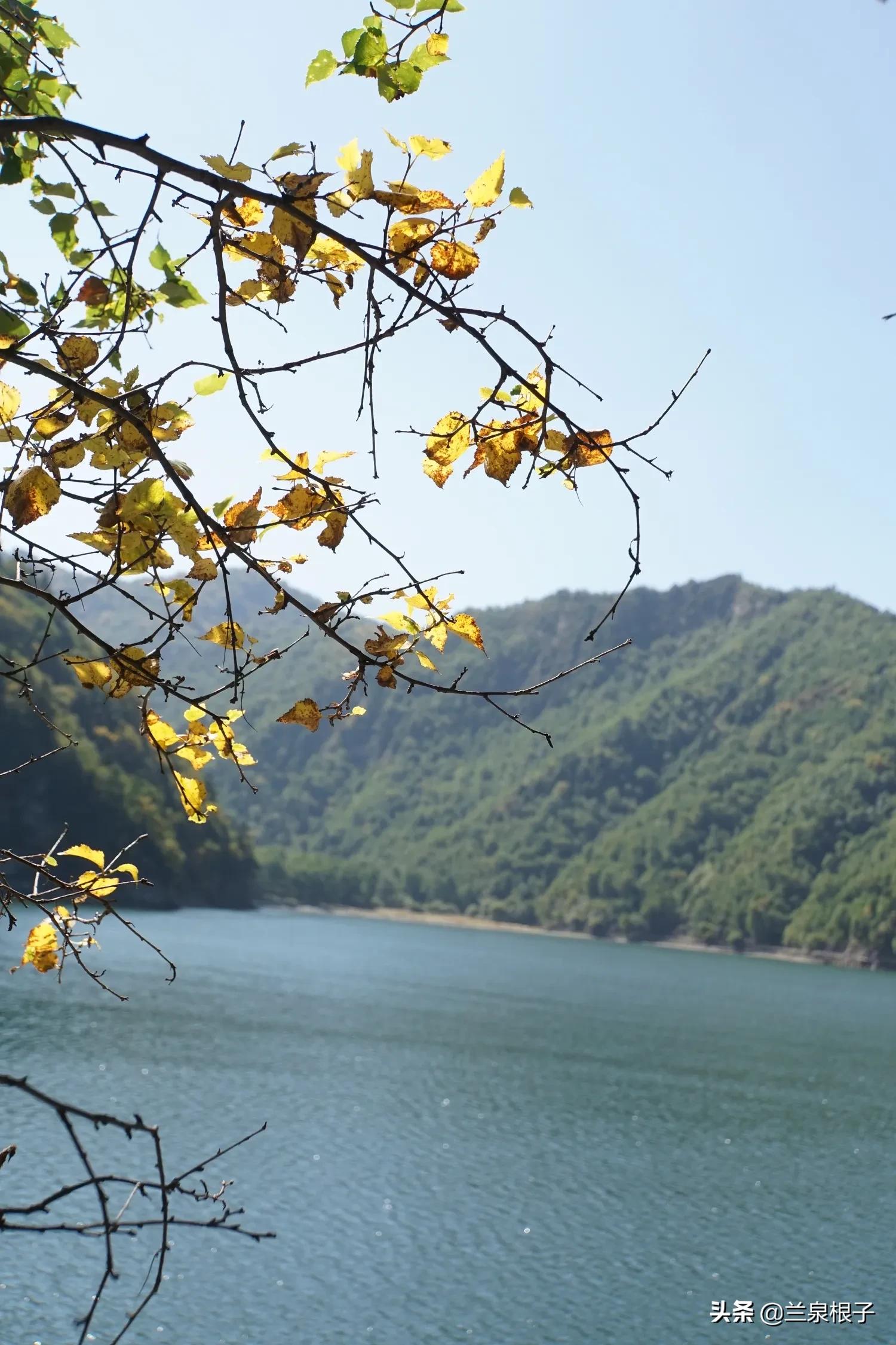 秋日之旅旅游攻略,秋日自驾游视频