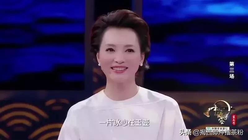 董卿关于四季诗词的开场词,董卿演讲的中国诗词开场诗