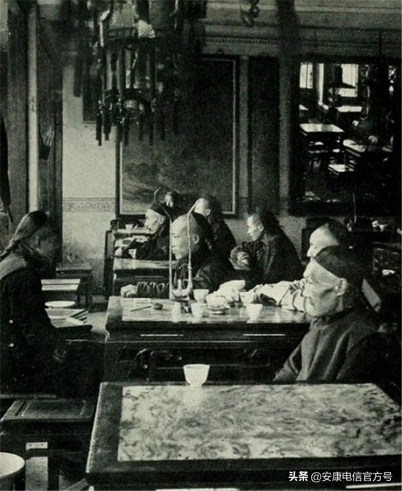 安康紫阳富硒毛尖,紫阳毛尖特别香