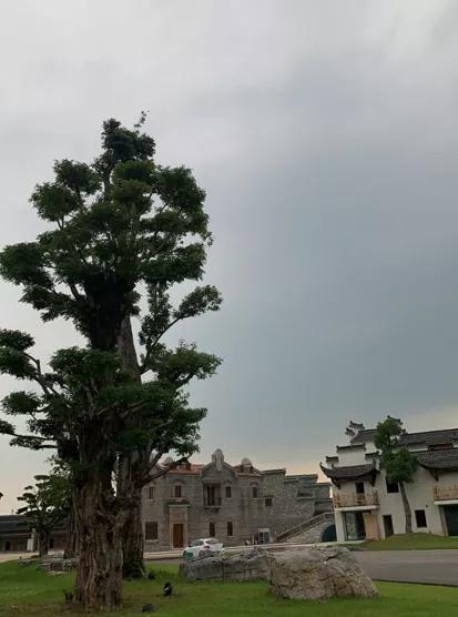 引爆文旅市场,蚌埠城南新建不夜城