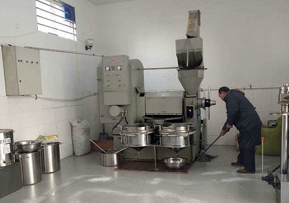 农村大爷开榨油坊,老赵家榨油坊