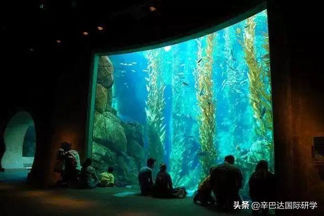 研学必去的地方,研学美国加州路线