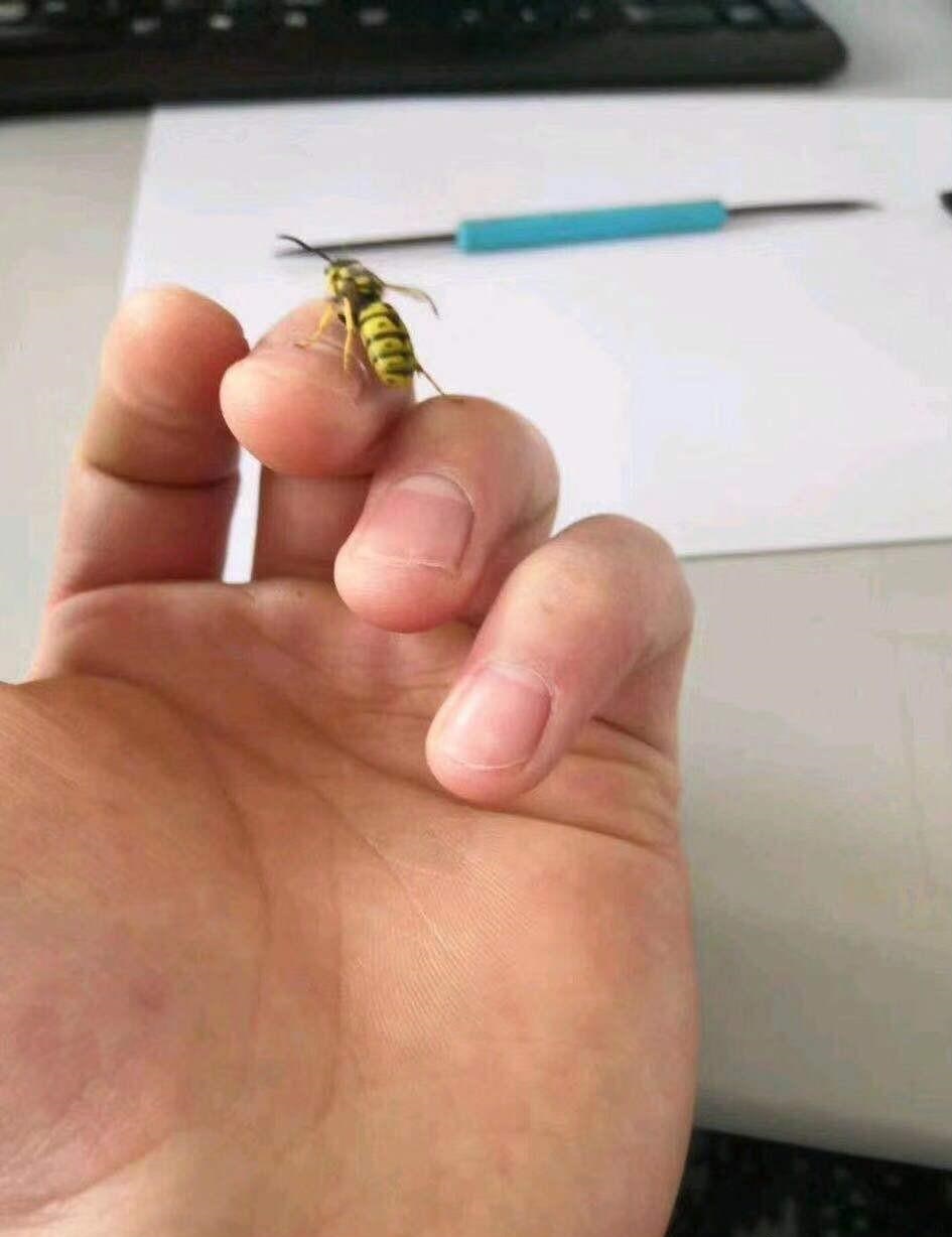 面对亲戚该怼就怼,面对亲戚的挖苦怎么高情商回复