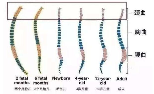 婴儿车选哪种比较合适,婴儿车怎么选择更实用方便安全