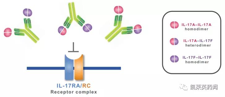 银屑病目前最好的特效药生物制剂,全球最新银屑病新药