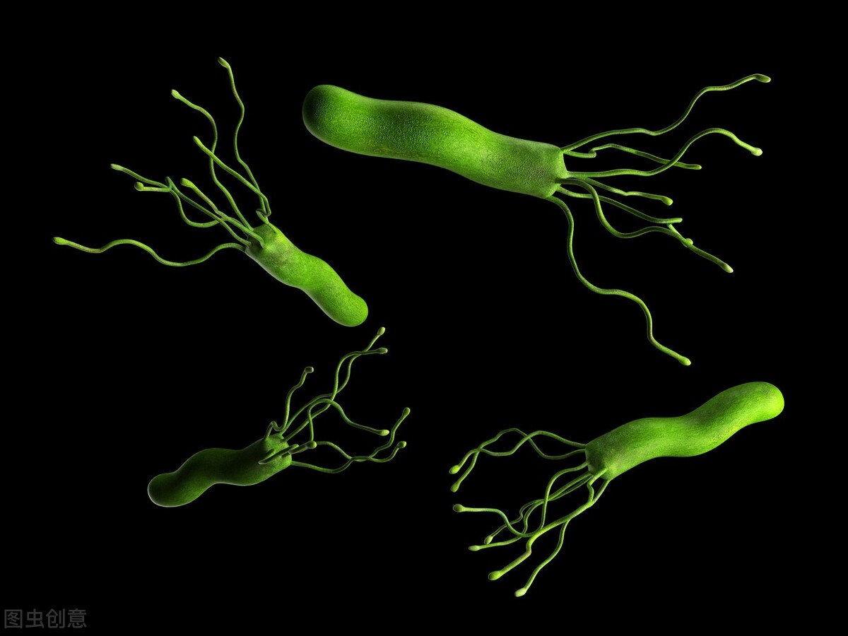 查幽门螺杆菌用碳13和碳14哪个好,碳13检查幽门螺杆菌标准值是多少