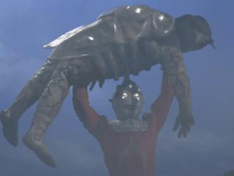 圆谷英二赛文奥特曼,圆谷奥特曼的亲儿子