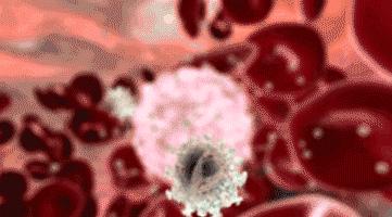 手机消毒用什么方法最好,教你如何给手机消毒又学一招