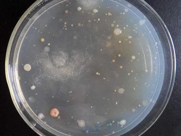 天文望远镜保养,olimtms望远镜保养