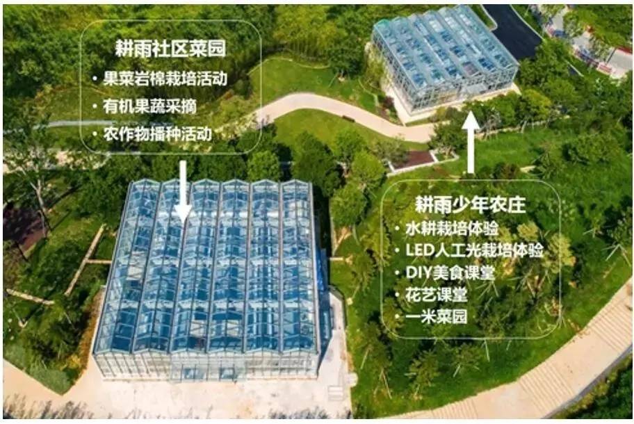 惠州大亚湾泡泡海岸,暑假去惠州海边推荐